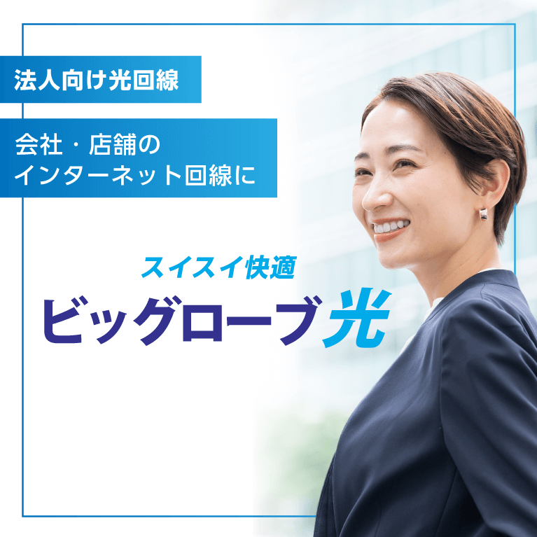 法人向けビッグローブ光